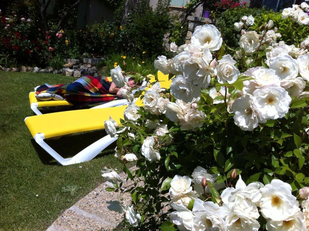 Bed and Breakfast Le Grand Jardin Lafare Экстерьер фото