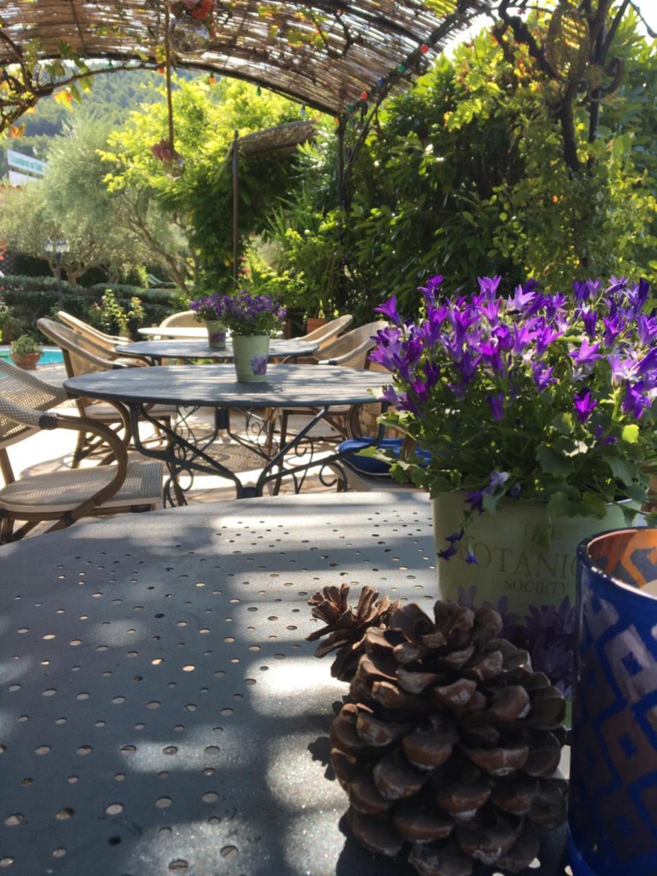 Bed and Breakfast Le Grand Jardin Lafare Экстерьер фото
