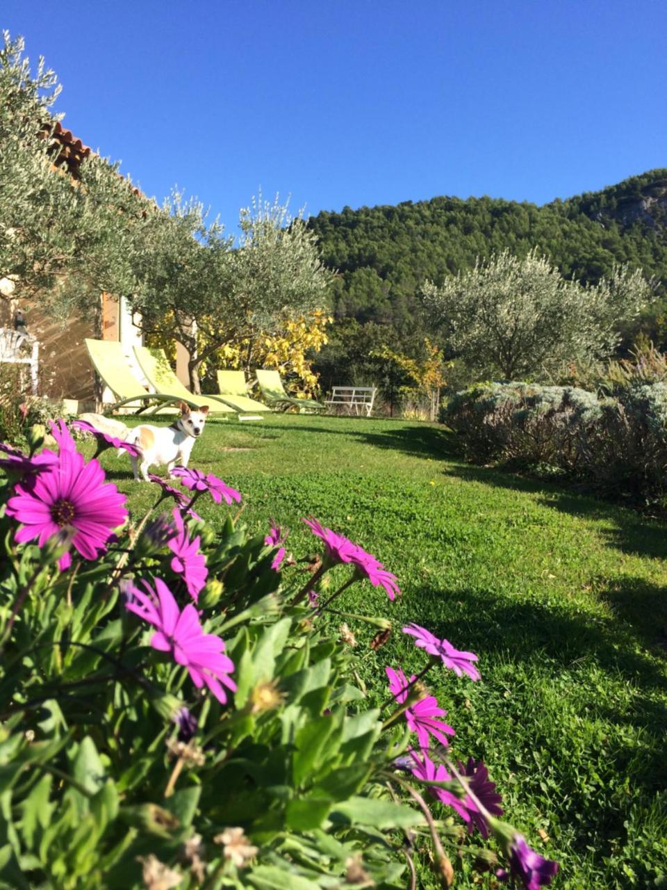 Bed and Breakfast Le Grand Jardin Lafare Экстерьер фото